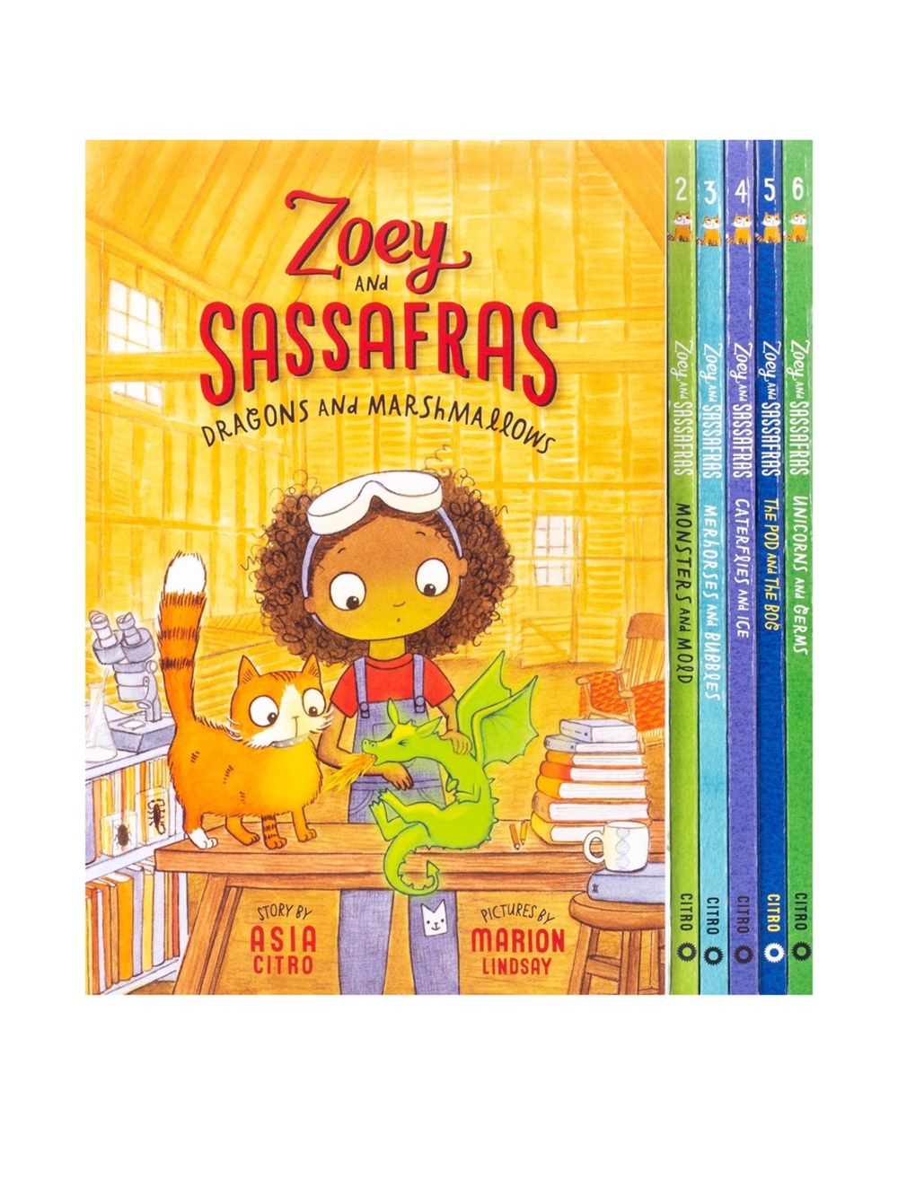Zoey and Sassafras Books - Set of 6 Books